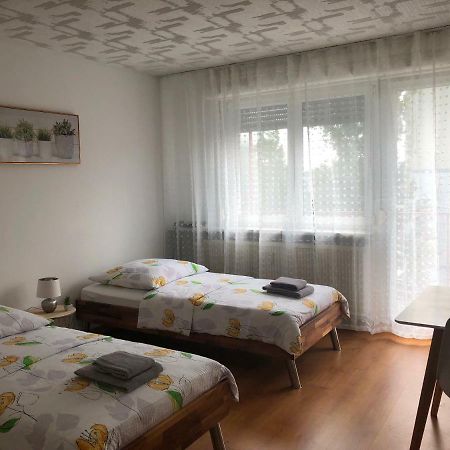 Studios Near Basel Airport Saint-Louis  Bagian luar foto