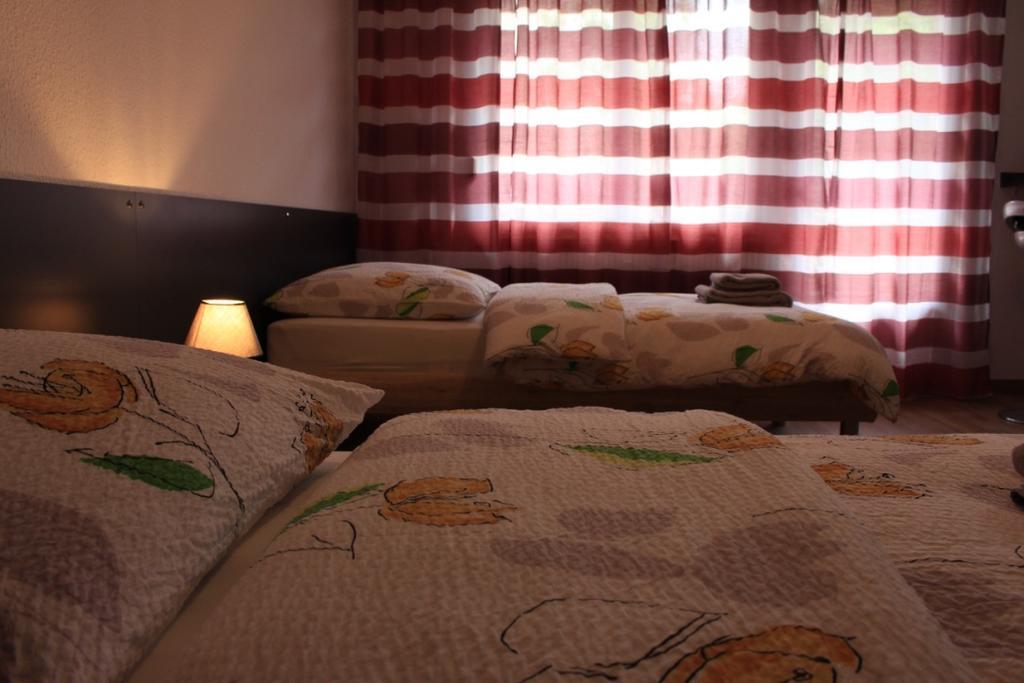 Studios Near Basel Airport Saint-Louis  Bagian luar foto
