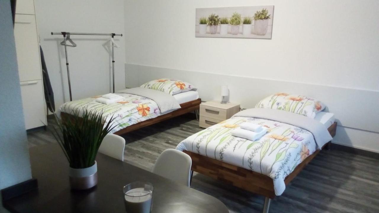Studios Near Basel Airport Saint-Louis  Bagian luar foto