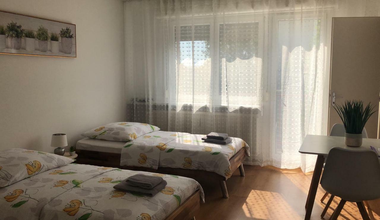 Studios Near Basel Airport Saint-Louis  Bagian luar foto